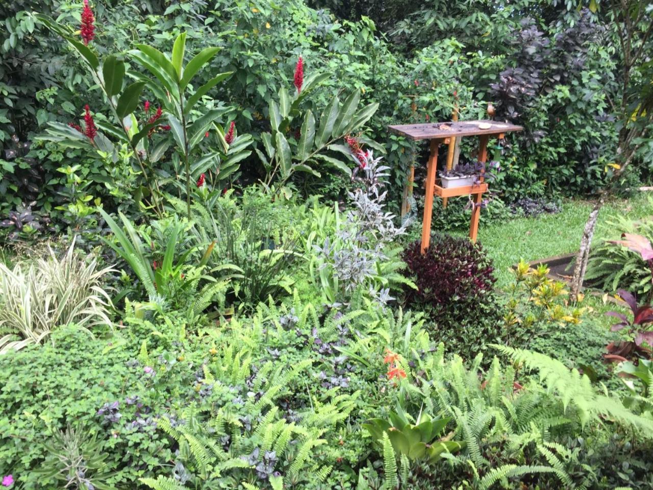 Casa Arariba - Ilha Grande - Abraão Exteriör bild