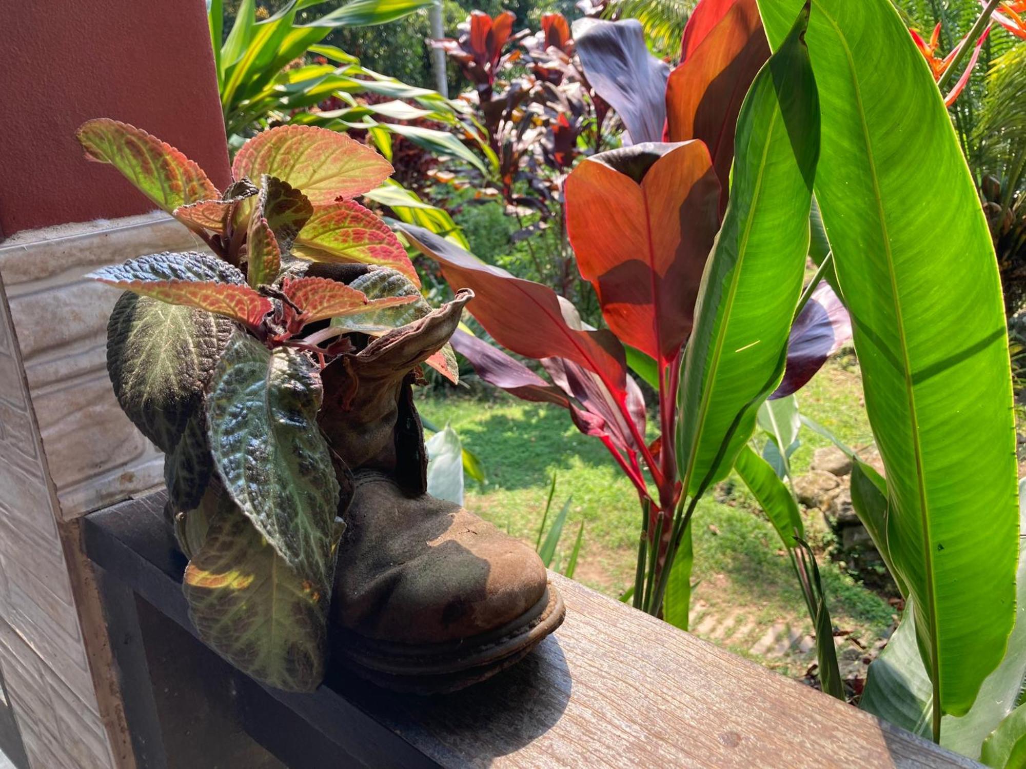 Casa Arariba - Ilha Grande - Abraão Exteriör bild