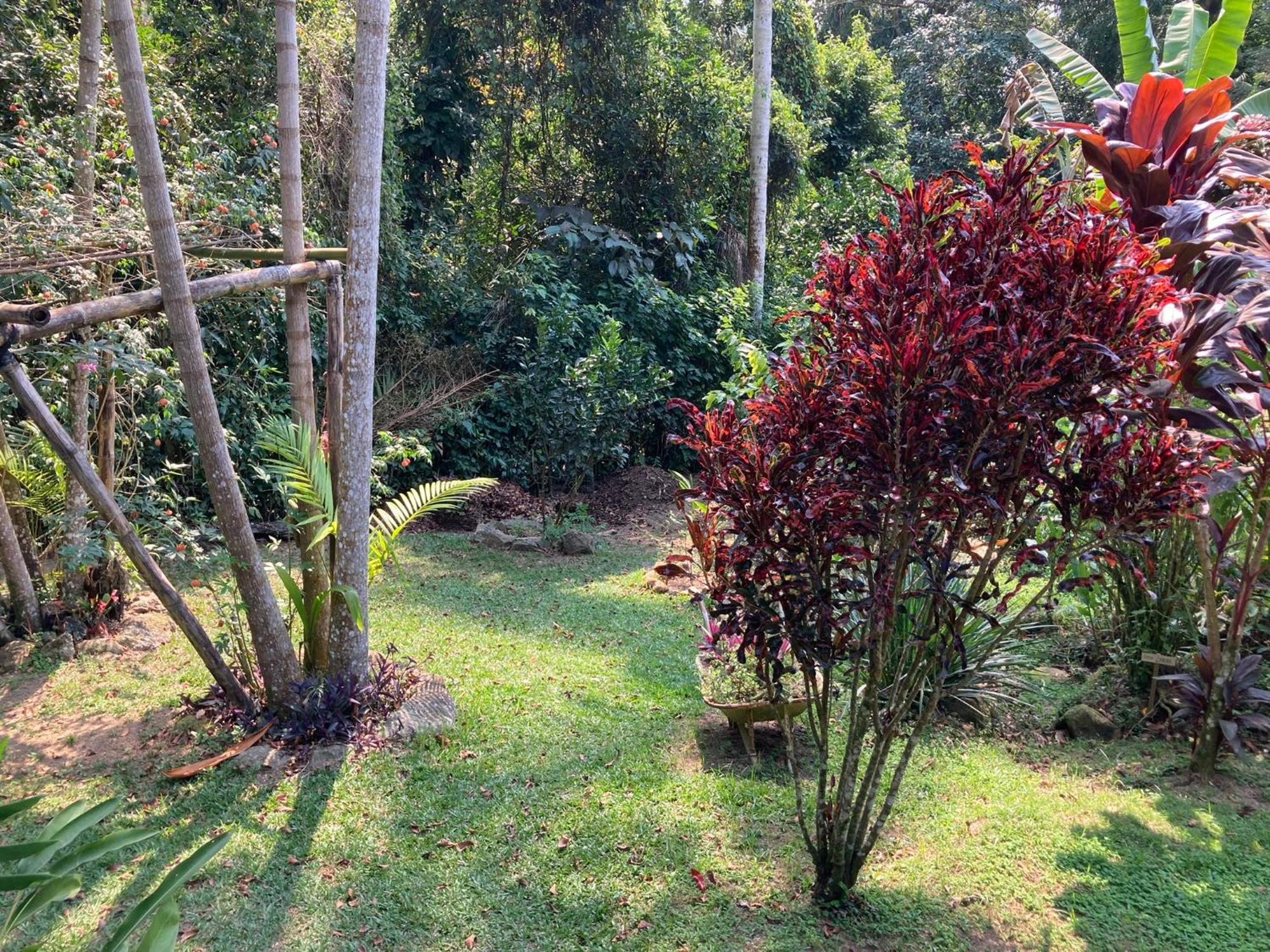 Casa Arariba - Ilha Grande - Abraão Exteriör bild